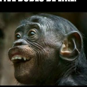 Meet your Posher, C-dome